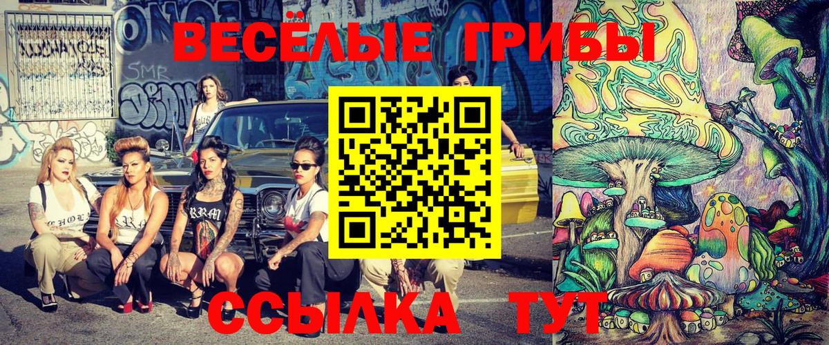 Псилоцибиновые грибы прущие грибы  Вход с VPN  Галлюциногенные грибы Cubensis  Тында 